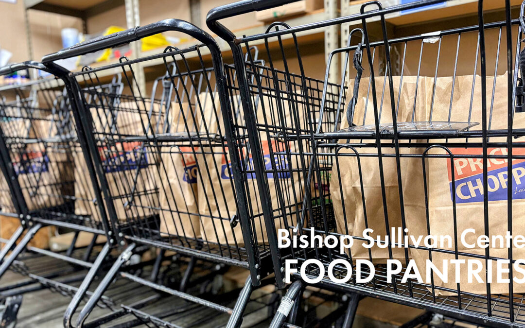 BSC Food Pantries teach the next generation about helping others